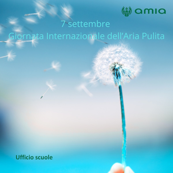 Aria pulita